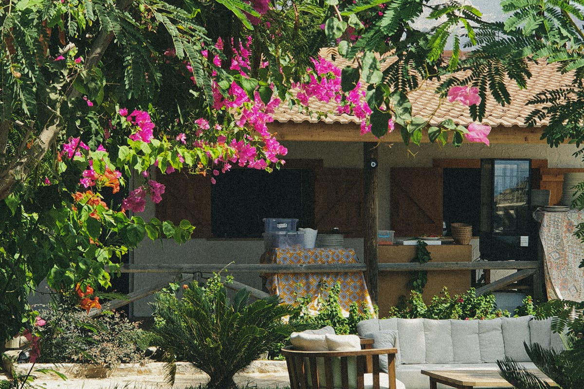 Jardin méditerranéen luxuriant à Nice