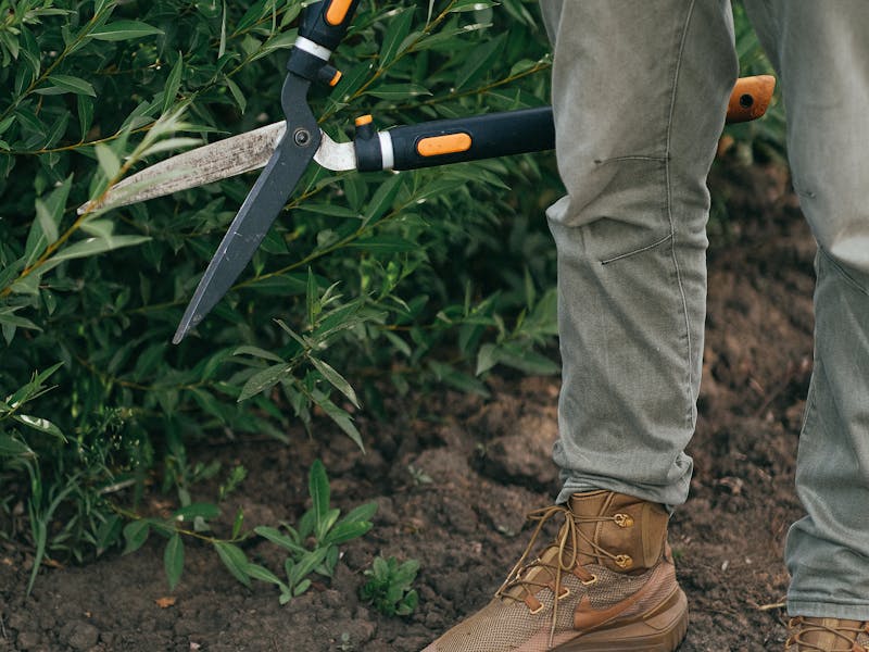 Jardinier professionnel taillant des buissons à Nice